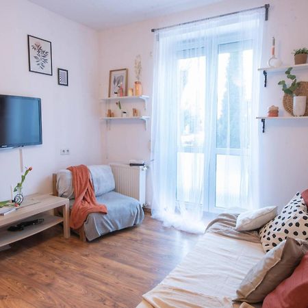 Home Studio Z Ogrodkiem Cracovia Exterior foto